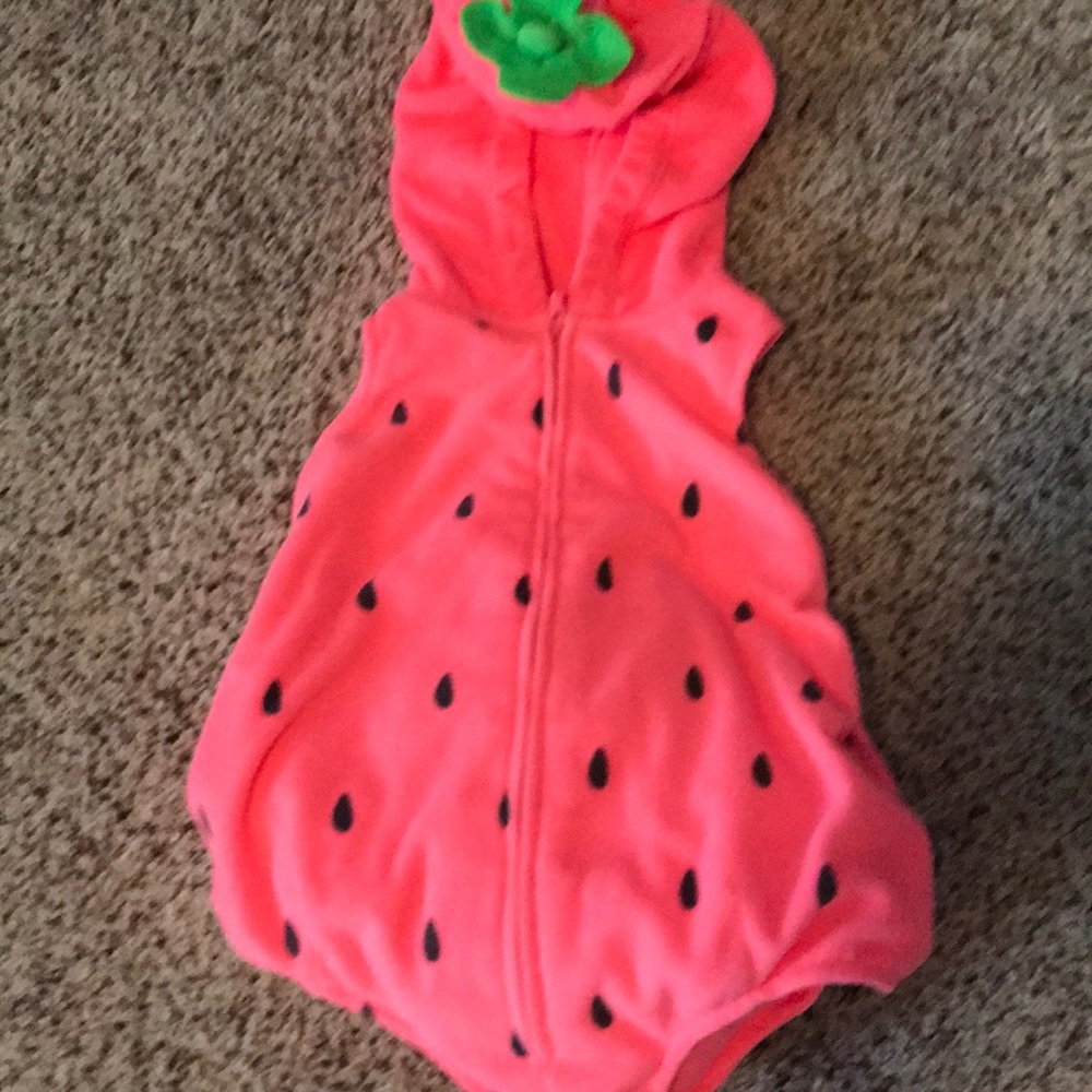 Carter’s Strawberry costume-12 months